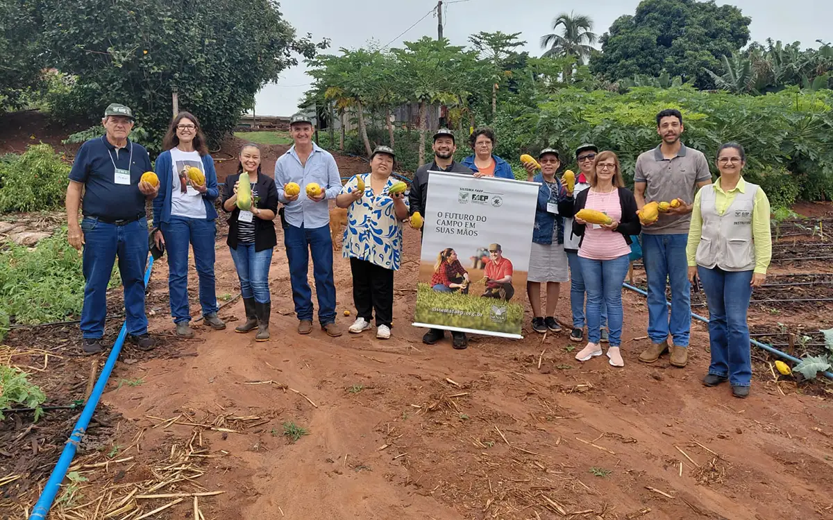 curso mamão faep