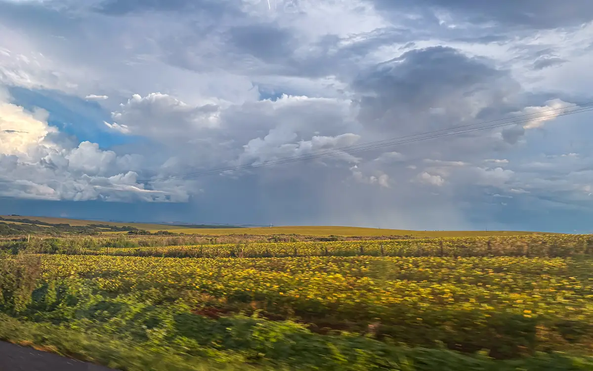 campo chuva