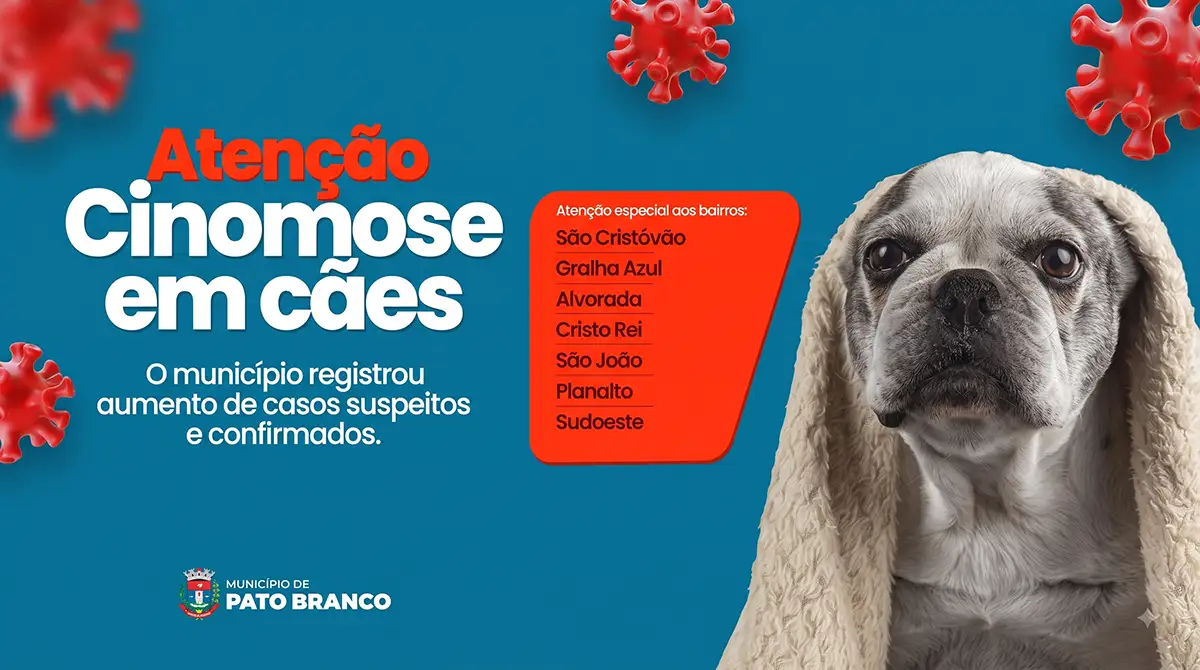 cinomose
