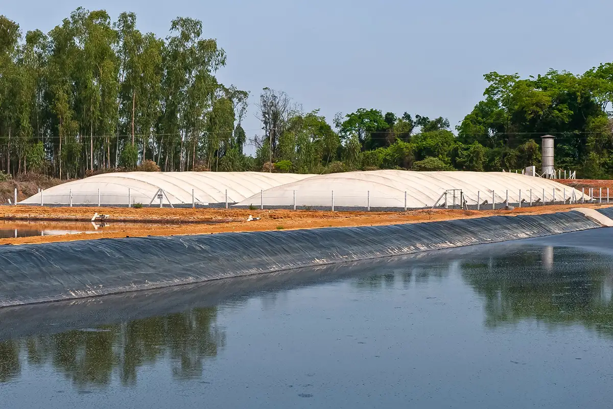 faep dia de campo energia