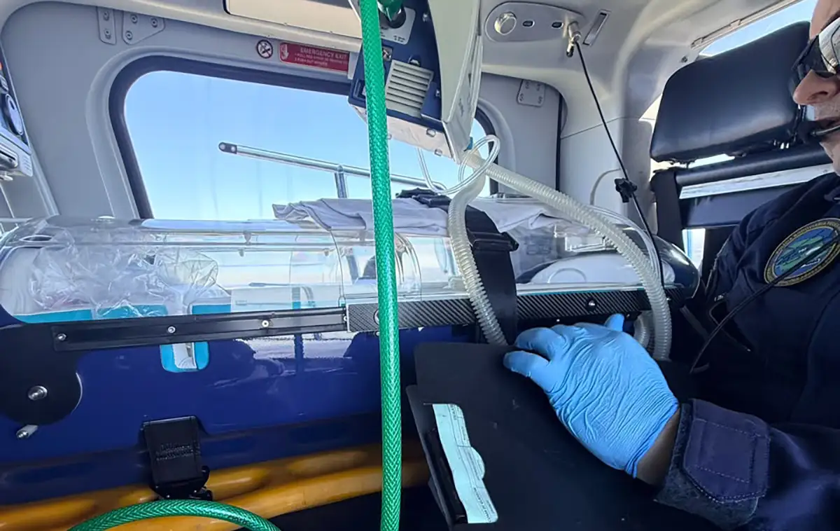prf transporte bebe